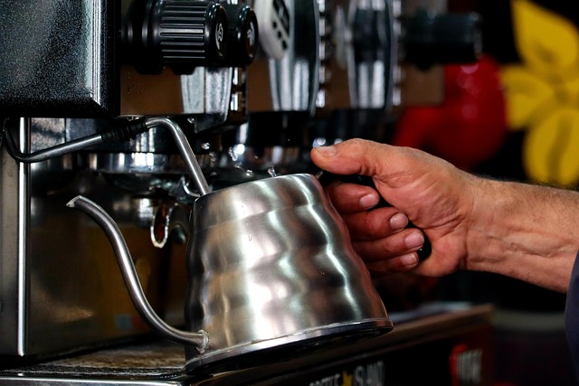 바리스타 자격증 종류 비교｜국내 vs 국제, 취업·비용·난이도 (2025 최신판)